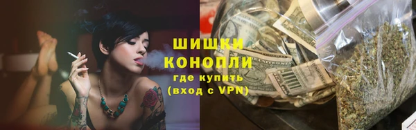 ГАЛЛЮЦИНОГЕННЫЕ ГРИБЫ Магас