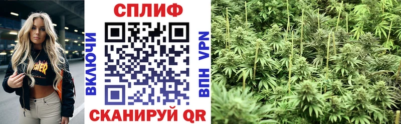 закладки  Новохопёрск  Каннабис AK-47 